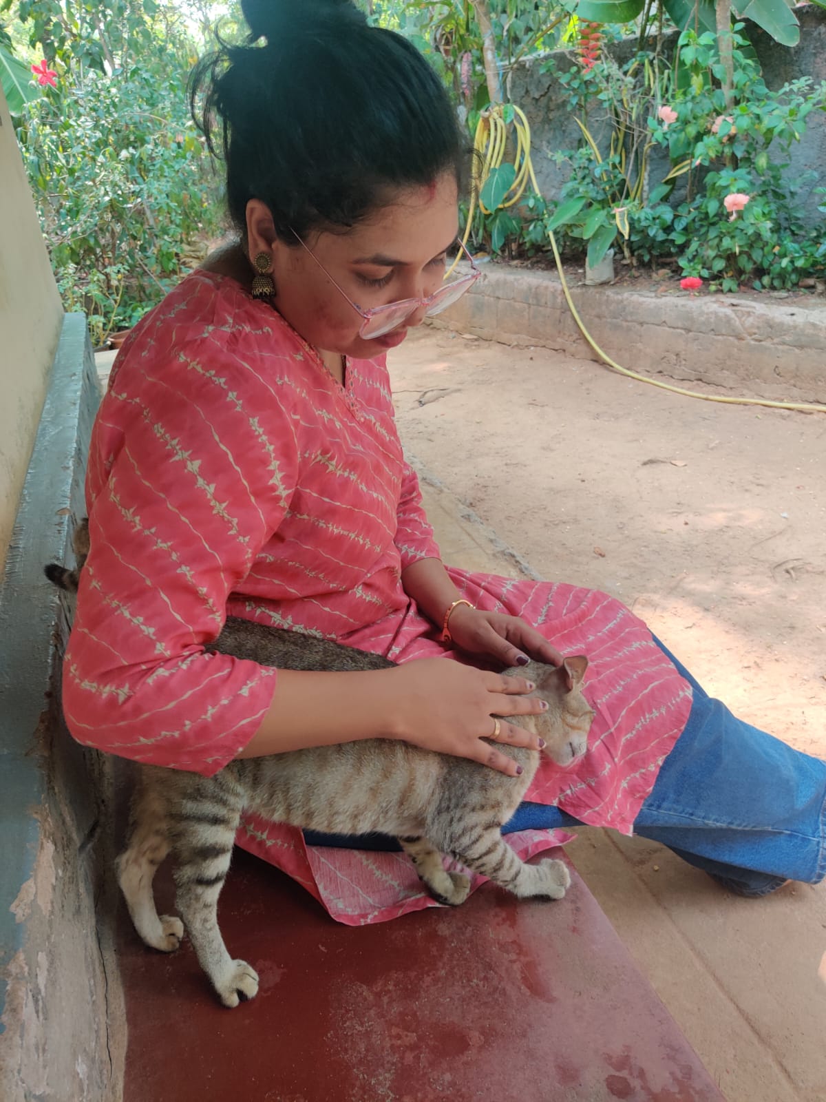 Village cat
